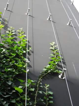 X-TEND, I-SYS und GREENCABLE: Edelstahlseile und -netz für die Fassadenbegrünung X-TEND, I-SYS und GREENCABLE: Edelstahlseile und -netz für die Fassadenbegrünung