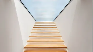 Dachausstiege