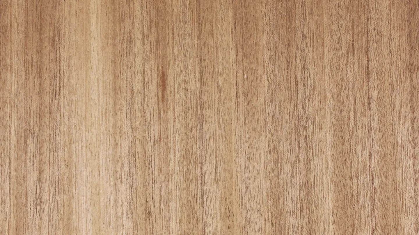 VARIOTEC Funktionstüren VARIOTEC Funktionstüren