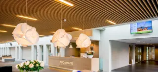 Deckensysteme aus Holz Deckensysteme aus Holz