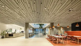 Deckensysteme aus Filz Deckensysteme aus Filz