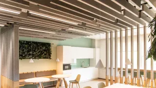 Deckensysteme aus Filz Deckensysteme aus Filz