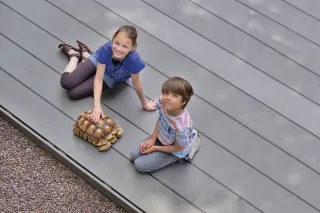 megawood® Terrassendielen PREMIUM PLUS  (GCC HOLZart) megawood® Terrassendielen PREMIUM PLUS  (GCC HOLZart)