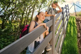 megawood® LIMES Sichtschutz- und Zaunsystem megawood® LIMES Sichtschutz- und Zaunsystem