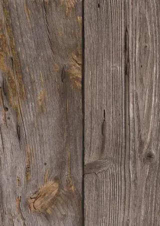 Emissionsarme Naturholzplatten mit Digitaldruck und Grundierung Emissionsarme Naturholzplatten mit Digitaldruck und Grundierung