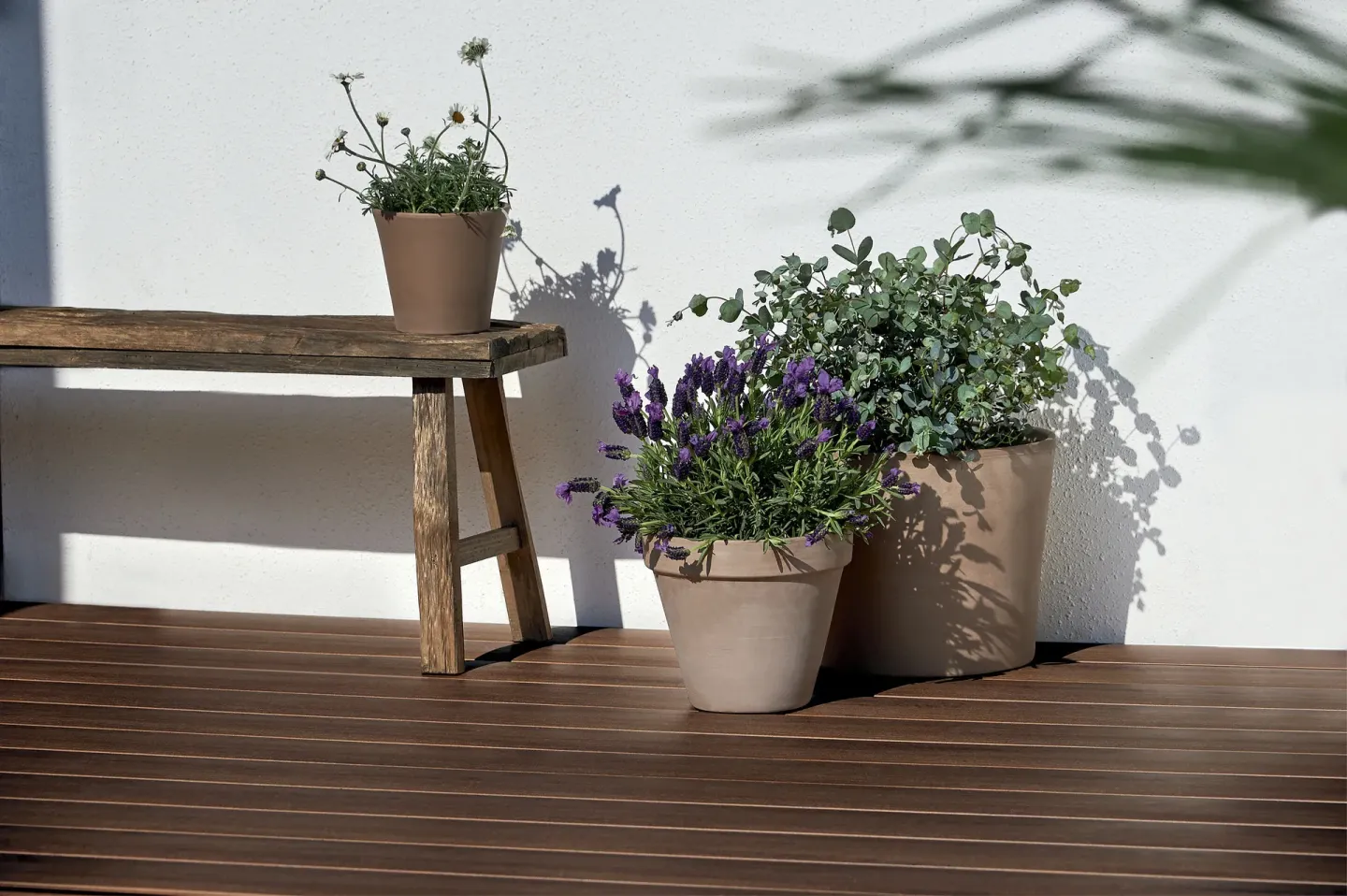 WPC-Dielen/WPC-Terrassendielen WPC-Dielen/WPC-Terrassendielen