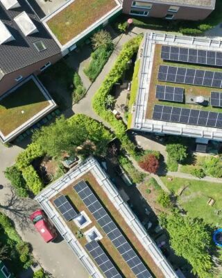 Sempergreen Solargründach On Top