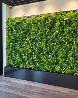Sempergreen Fassadenbegrünung SemperGreenwall CompactLine