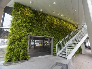 Fassadenbegrünung mit System von Sempergreen Fassadenbegrünung mit System von Sempergreen