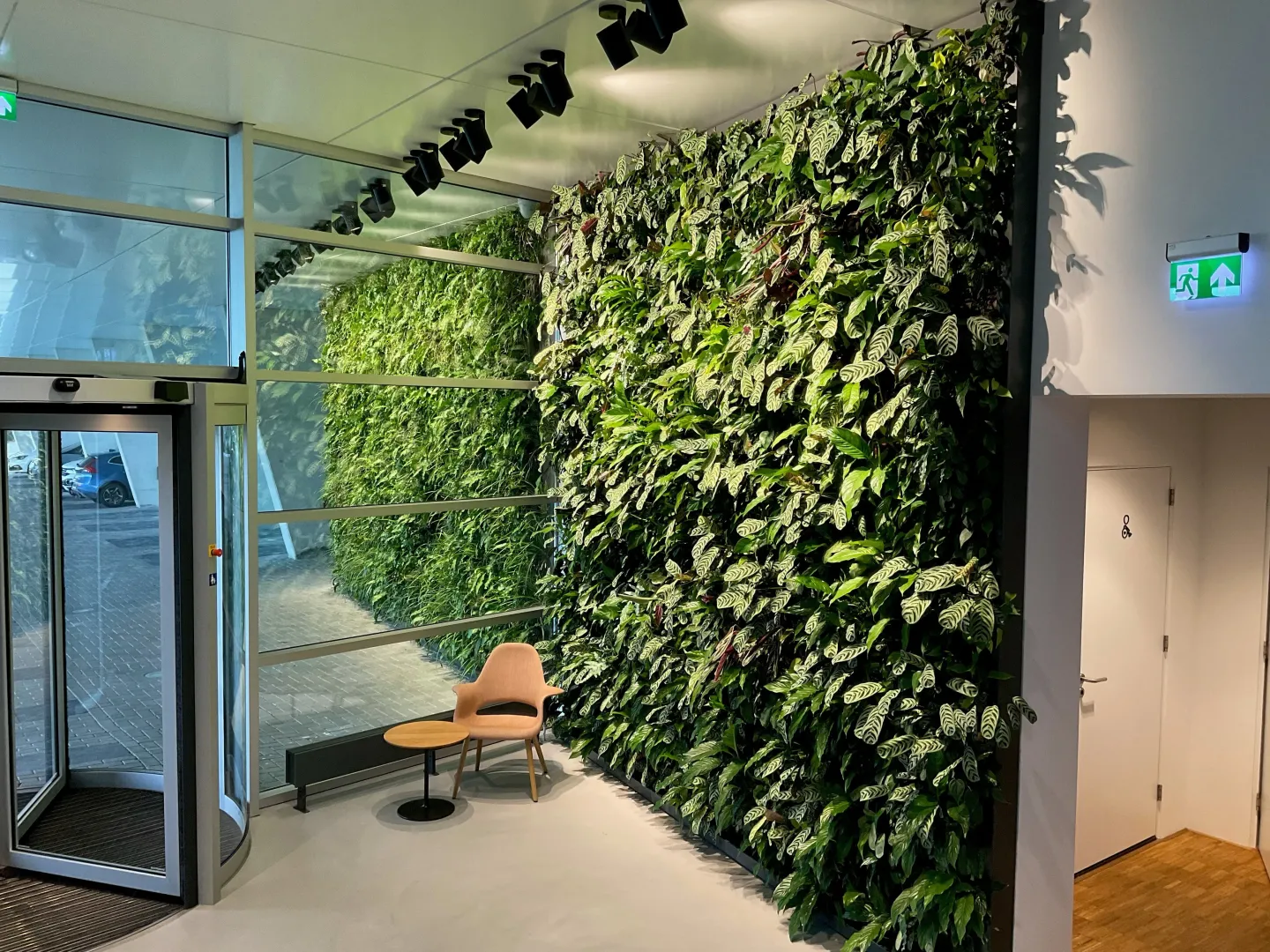 Fassadenbegrünung mit System von Sempergreen Fassadenbegrünung mit System von Sempergreen