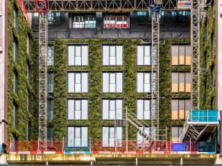 Fassadenbegrünung mit System von Sempergreen Fassadenbegrünung mit System von Sempergreen
