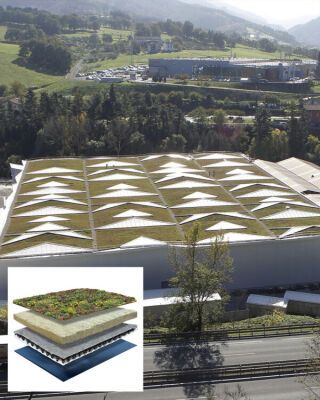 Sempergreen Sedumdach Leicht