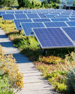 Sempergreen Solargründach Ballast