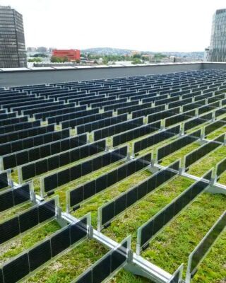 Sempergreen Solargründach Bifacial