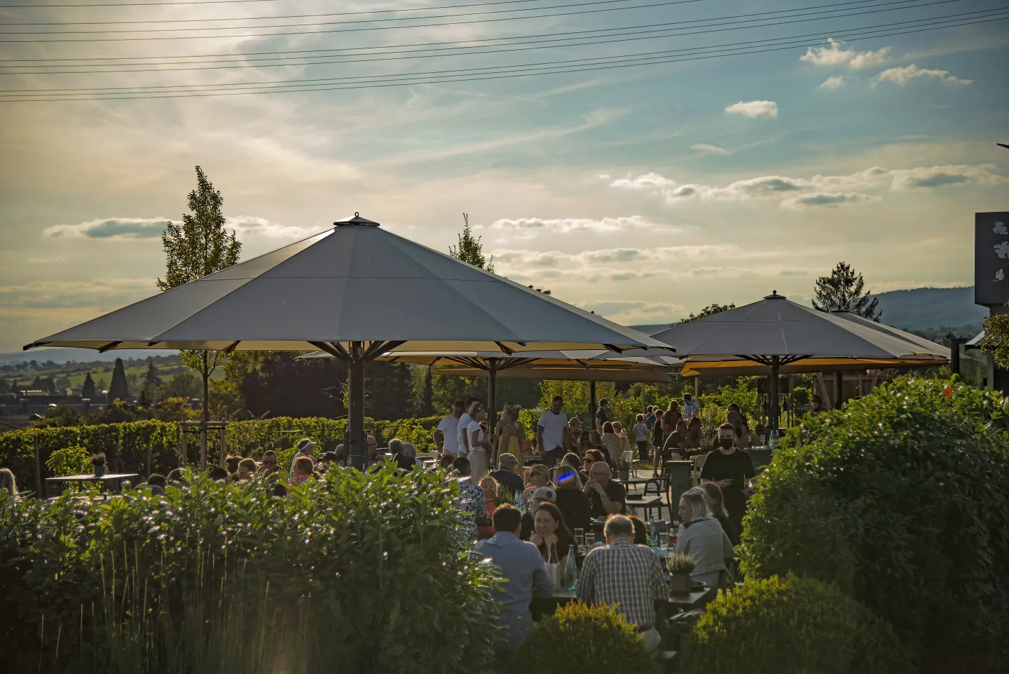 Wind- und Wetterfeste Sonnenschirme Wind- und Wetterfeste Sonnenschirme