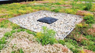 Gründachentwässerung zur Ableitung von Oberflächenwasser