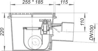 DALLMER Rückstau-Kellerablauf Ballstau Dallmer - DALLMER Rückstau-Kellerablauf Ballstau