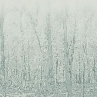 Tarkett Aquarelle Wall HFS Tarkett Holding - Tarkett Aquarelle Wall HFS