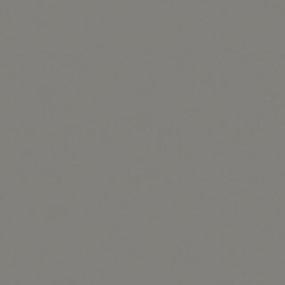 Tarkett Omnisports Training (5,0 mm)