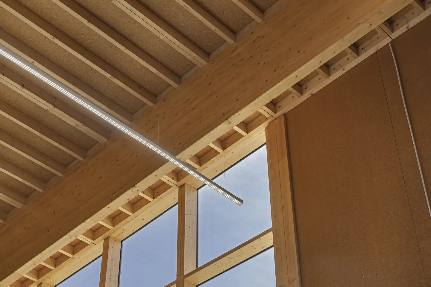 Holzwerkstoffe für den Holzbau Holzwerkstoffe für den Holzbau