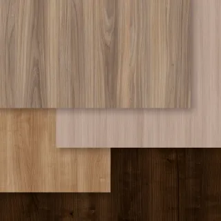 Dekorative Holzwerkstoffe mit dem DST System gestalten Dekorative Holzwerkstoffe mit dem DST System gestalten