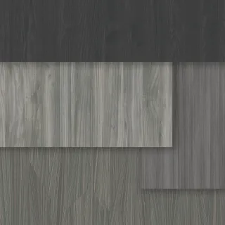Dekorative Holzwerkstoffe mit dem DST System gestalten Dekorative Holzwerkstoffe mit dem DST System gestalten