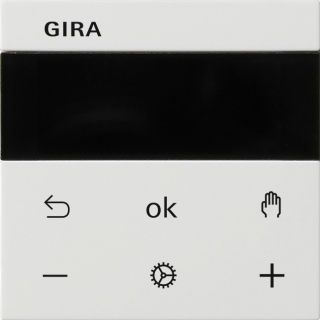 Gira - Gira System 55 System 3000 Raumtemperaturregler BT