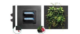 Mobilane - LivePicture GO mit Wasserstandsanzeiger