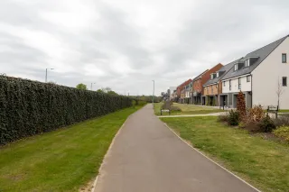 Sofort-Begrünung mit der Mobilane Fertighecke Sofort-Begrünung mit der Mobilane Fertighecke