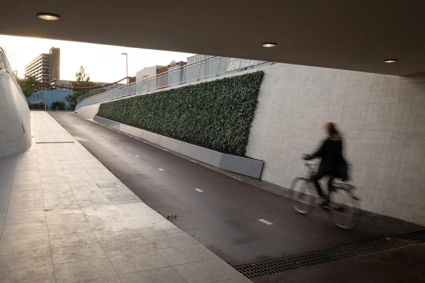 Sofort-Begrünung mit der Mobilane Fertighecke Sofort-Begrünung mit der Mobilane Fertighecke
