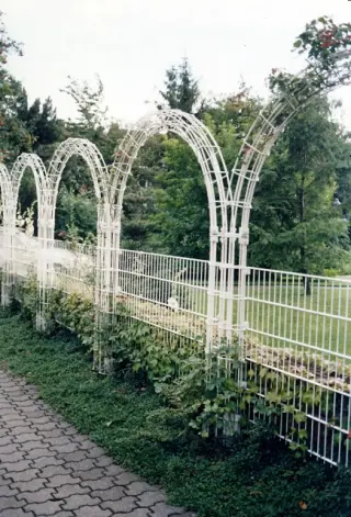 Ranksysteme Ranksysteme
