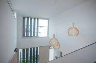Sonnenschutzlamellen als Sonnen- und Sichtschutz Sonnenschutzlamellen als Sonnen- und Sichtschutz