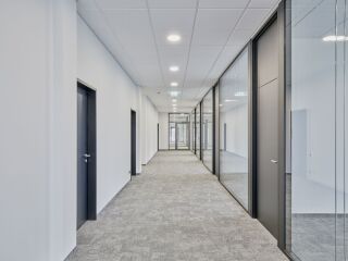 Die Bürowelt von morgen: lichtdurchflutet mit perfekter Akustik