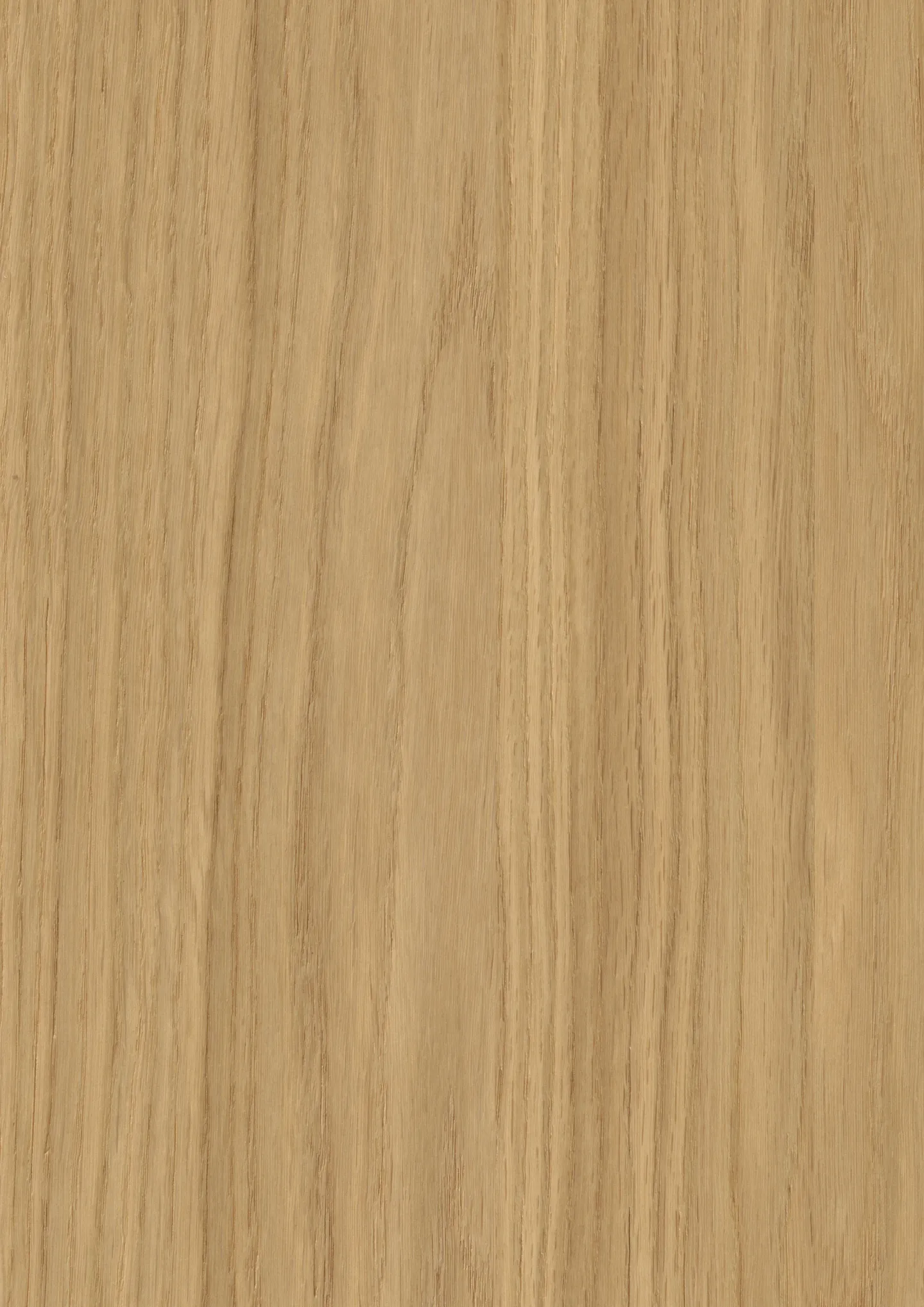 Echtholz- und Dekorvielfalt der Kaindl BOARDS collection Echtholz- und Dekorvielfalt der Kaindl BOARDS collection