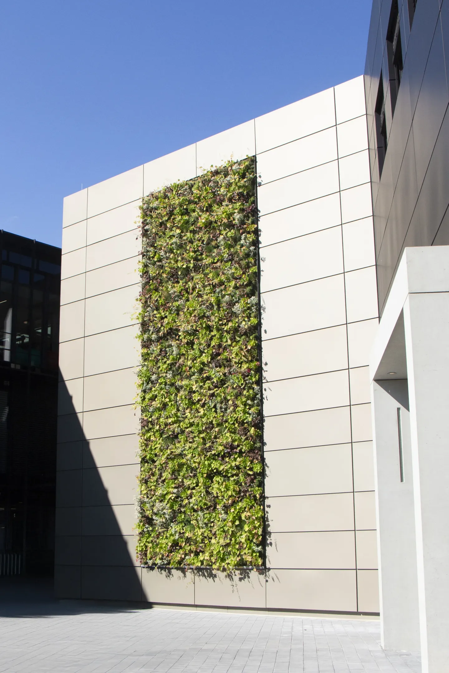 Fassadensystem PRO+ Siding | PRO+ PV | PRO+ Green Fassadensystem PRO+ Siding | PRO+ PV | PRO+ Green