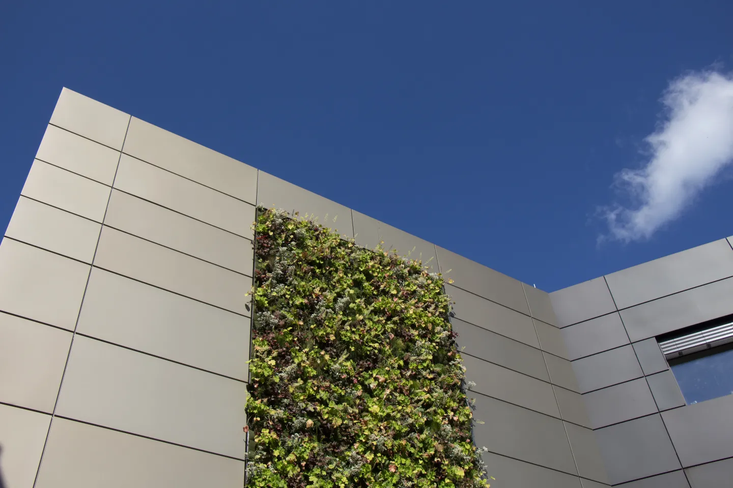 Fassadensystem PRO+ Siding | PRO+ PV | PRO+ Green Fassadensystem PRO+ Siding | PRO+ PV | PRO+ Green