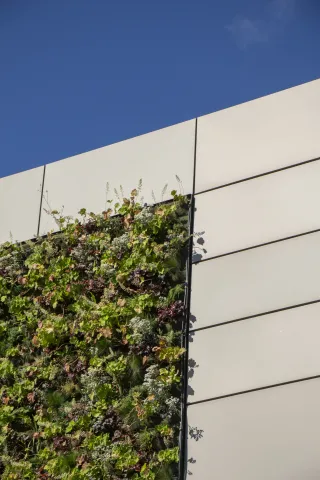 Fassadensystem PRO+ Siding | PRO+ PV | PRO+ Green Fassadensystem PRO+ Siding | PRO+ PV | PRO+ Green