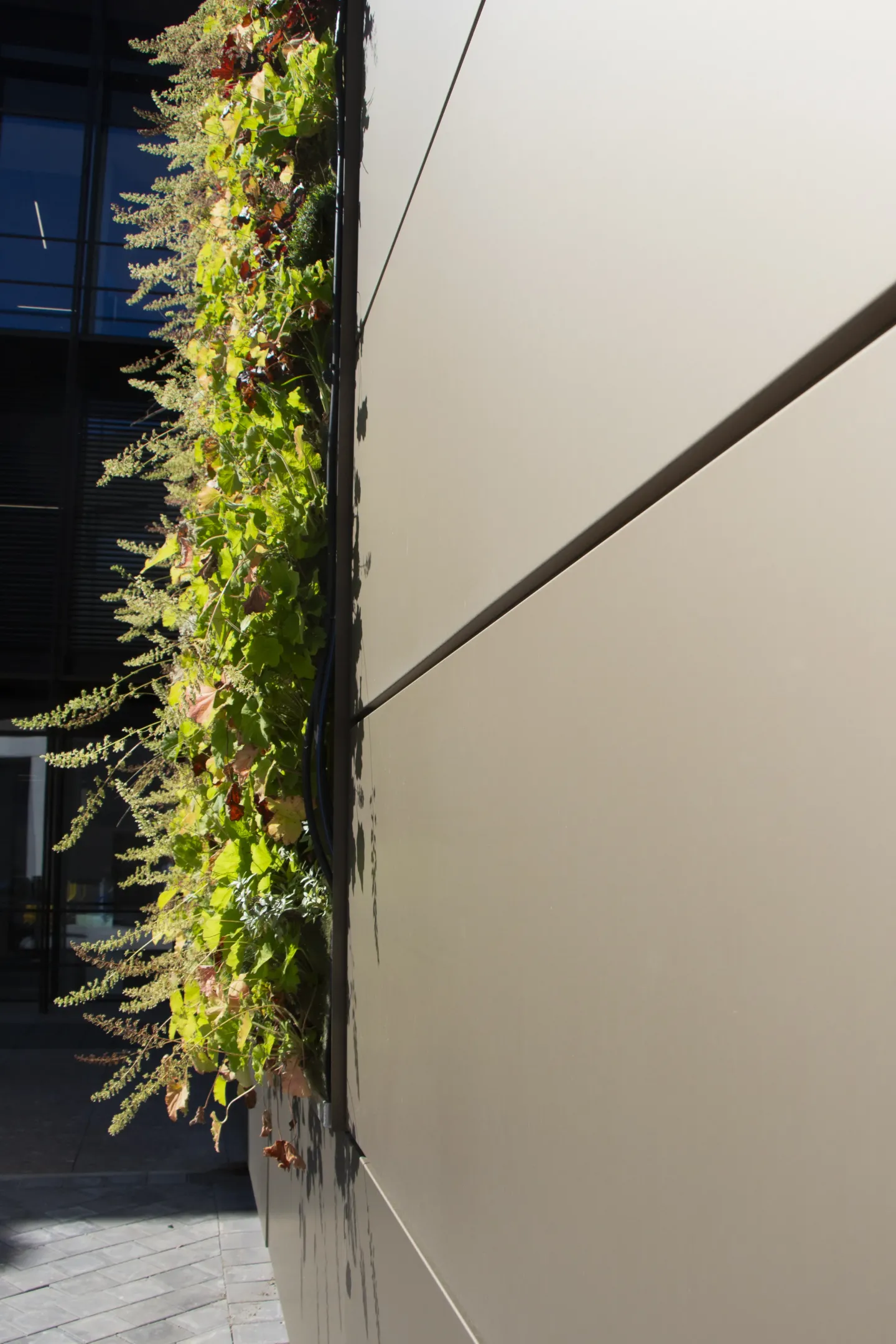 Fassadensystem PRO+ Siding | PRO+ PV | PRO+ Green Fassadensystem PRO+ Siding | PRO+ PV | PRO+ Green