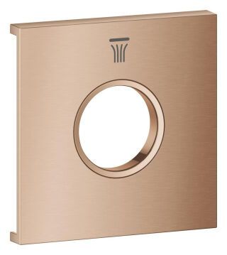 Grohtherm Aqua Tiles Metallplatte mit Symbol