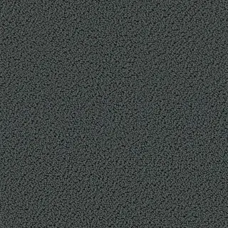 COLOR OPINIONS COLOR OPINIONS