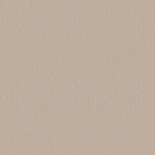 COLOR OPINIONS COLOR OPINIONS