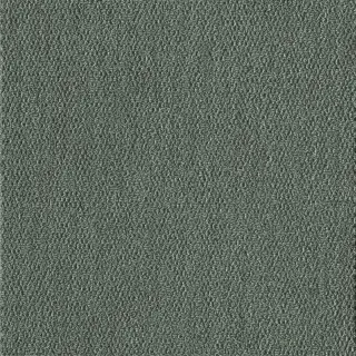 COLOR OPINIONS COLOR OPINIONS