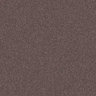 COLOR OPINIONS COLOR OPINIONS