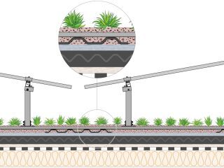 K2 GreenRoof 2.0: Gründach und PV bilden eine Einheit