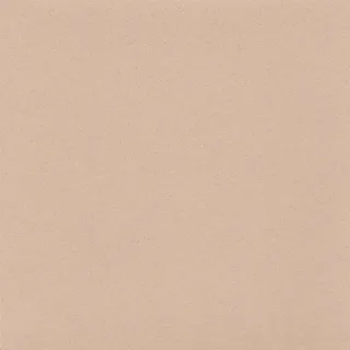 Sicherheits- und ableitfähiger Bodenbelag Sicherheits- und ableitfähiger Bodenbelag