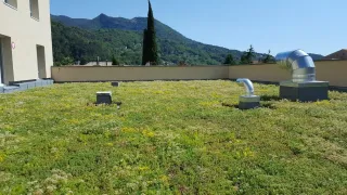 Dachbegrünung ECOgreen® Dachbegrünung ECOgreen®