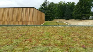 Dachbegrünung ECOgreen® Dachbegrünung ECOgreen®