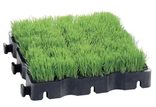 Bodengittersystem ECORASTER® Bodengittersystem ECORASTER®