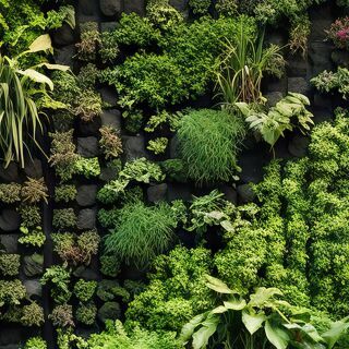 Abel Begrünungssystem PLANT WALL Abel Metallsysteme - Abel Begrünungssystem PLANT WALL (HAN: PLANT WALL)