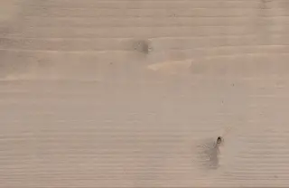 Holzoberflächenbehandlung, Holz-Veredelung; behandelte Profilhölzer aus Fichte Holzoberflächenbehandlung, Holz-Veredelung; behandelte Profilhölzer aus Fichte